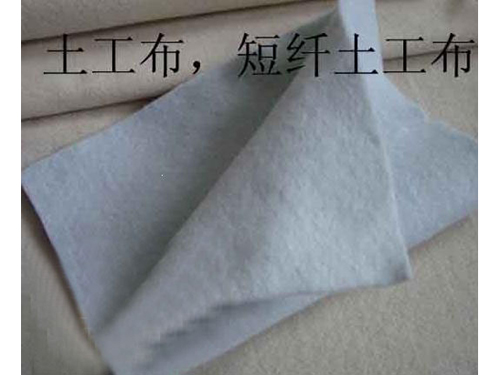 青青草视频app